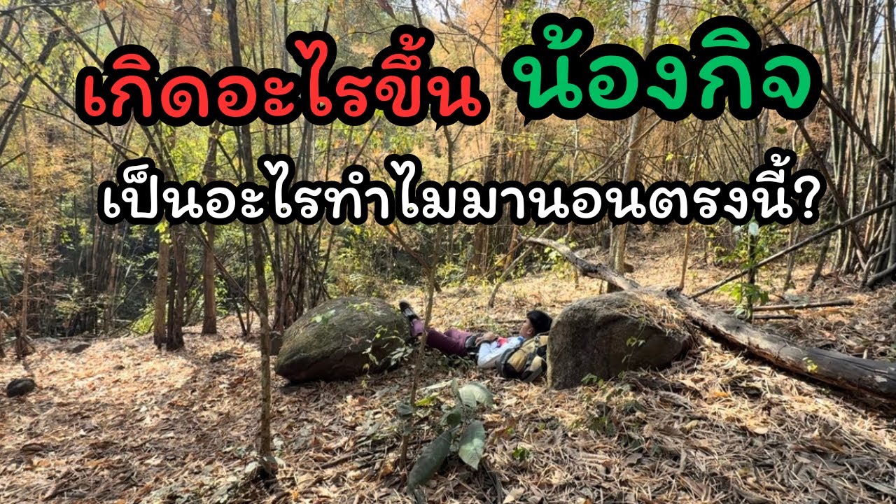 เดินทางมาหาพี่แฝดทำห้างแต่มาเจอน้องกิจนอนนิ่งอยู่กลางป่า