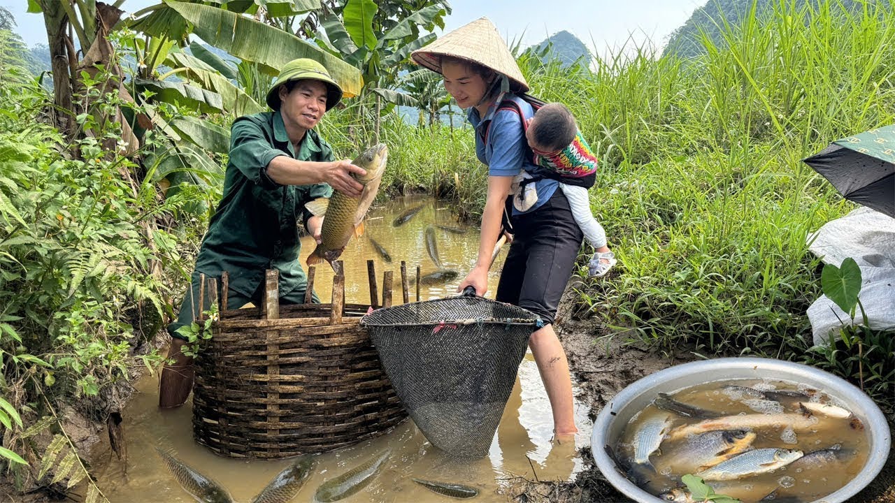 Ly Tieu Ha had an accident while harvesting fish with her husband!