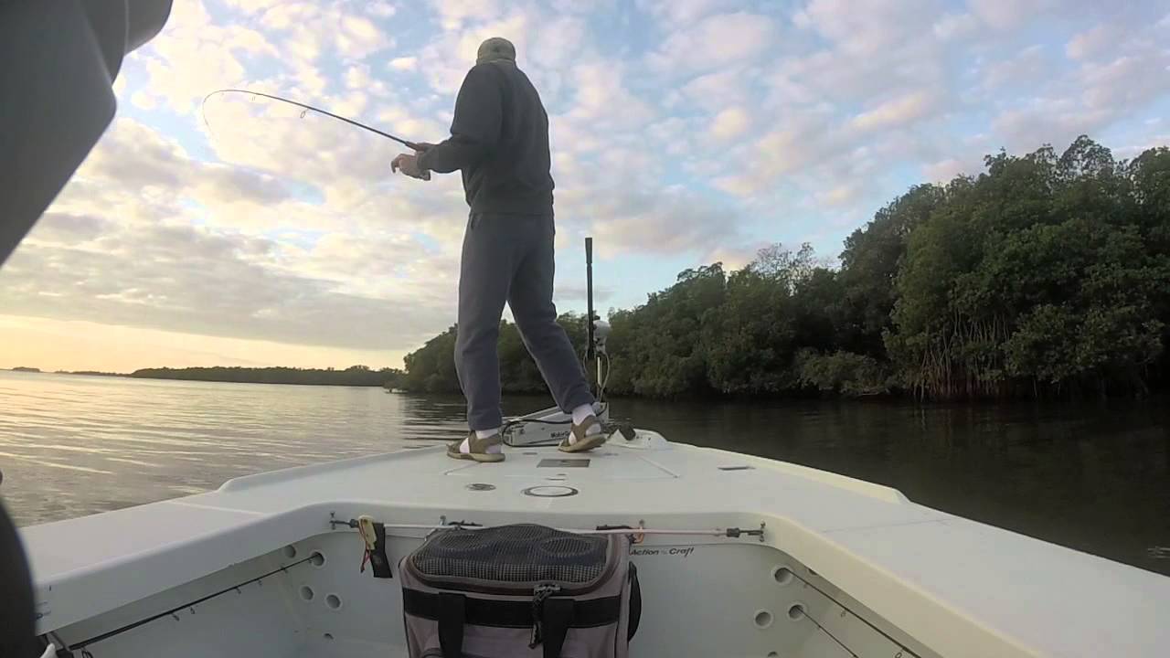 Vero Fishing 6lb Trout