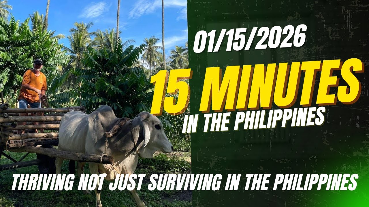 How to not only SURVIVE in the Philippines but to THRIVE