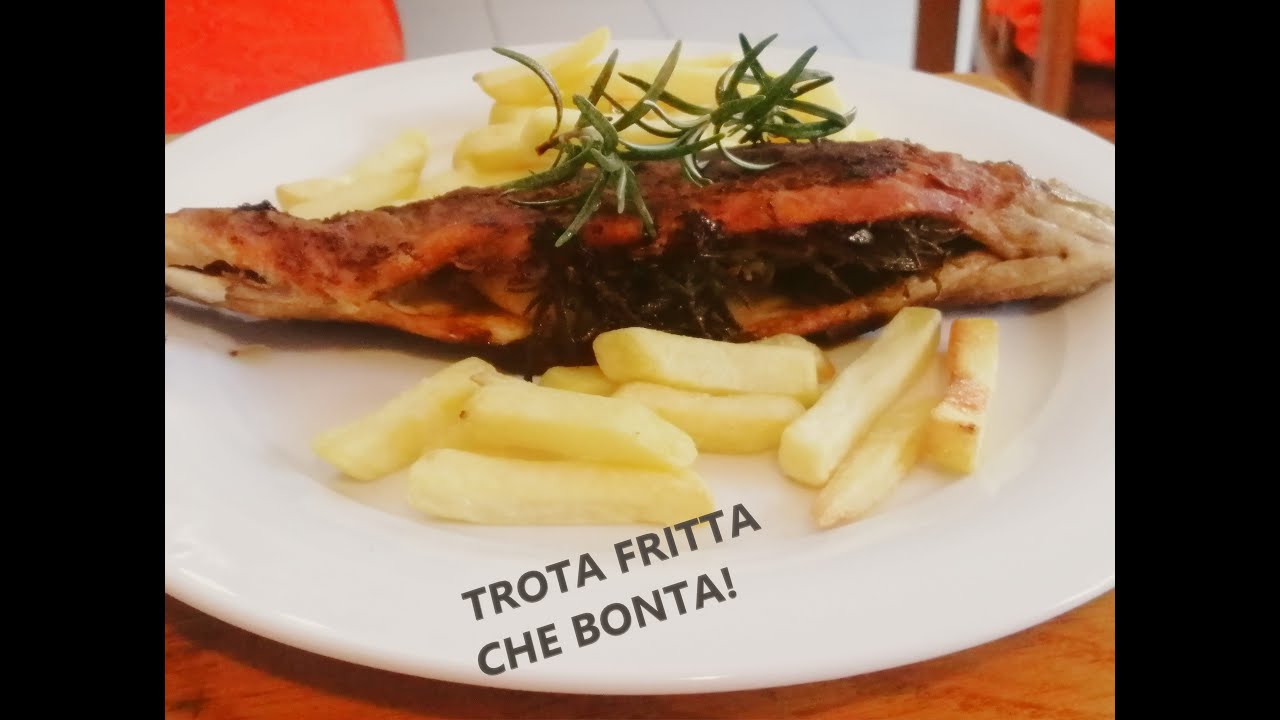 TROTA FRITTA😍