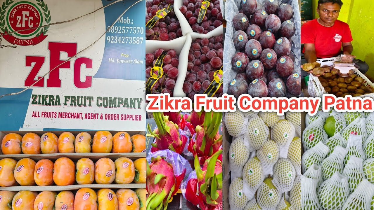 Zikra Fruit Company Patna | Patna Ka Fruit Market | Patna Ka Fruit Mandi | Fruit Market In Patna 