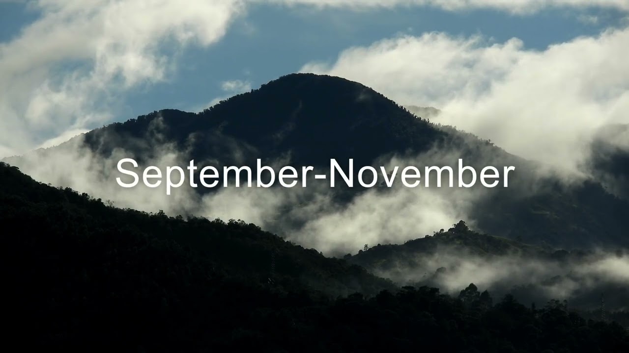 Seasons in Colombia: Temperature and Climate by Month