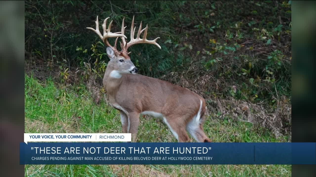 This Richmonder was familiar with the Hollywood buck. He says he 'couldn't believe' it was killed.
