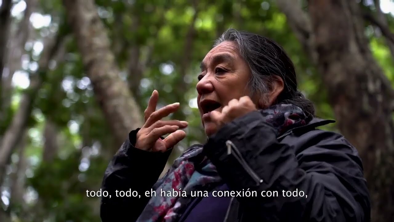 ¿Quiénes son los Kawésqar?