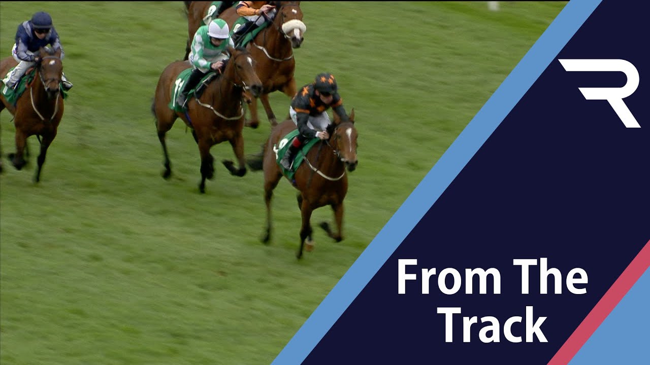 CHOUX lands MEGA gamble at Thirsk for Dave Evans - backed from 40/1 to 100/30 in just 10 minutes!