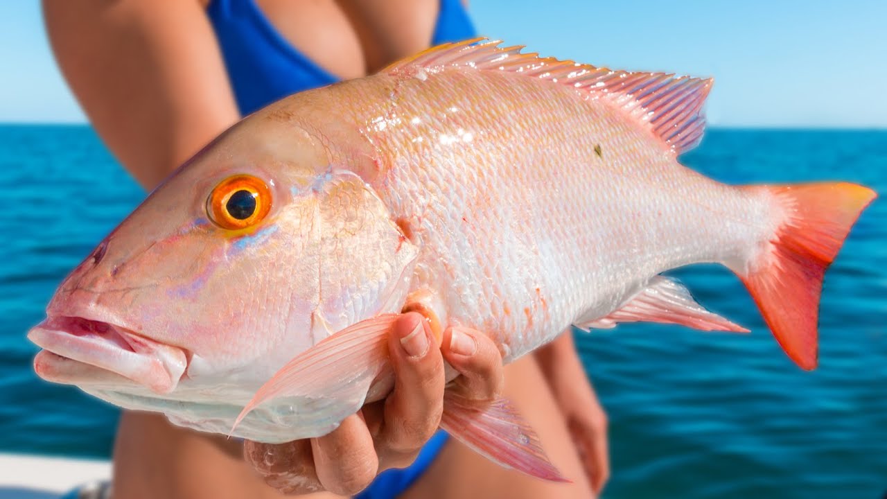Best Tasting Fish in the Florida Keys! - Mutton Snapper Reef bottom Fishing [Catch & Cook]