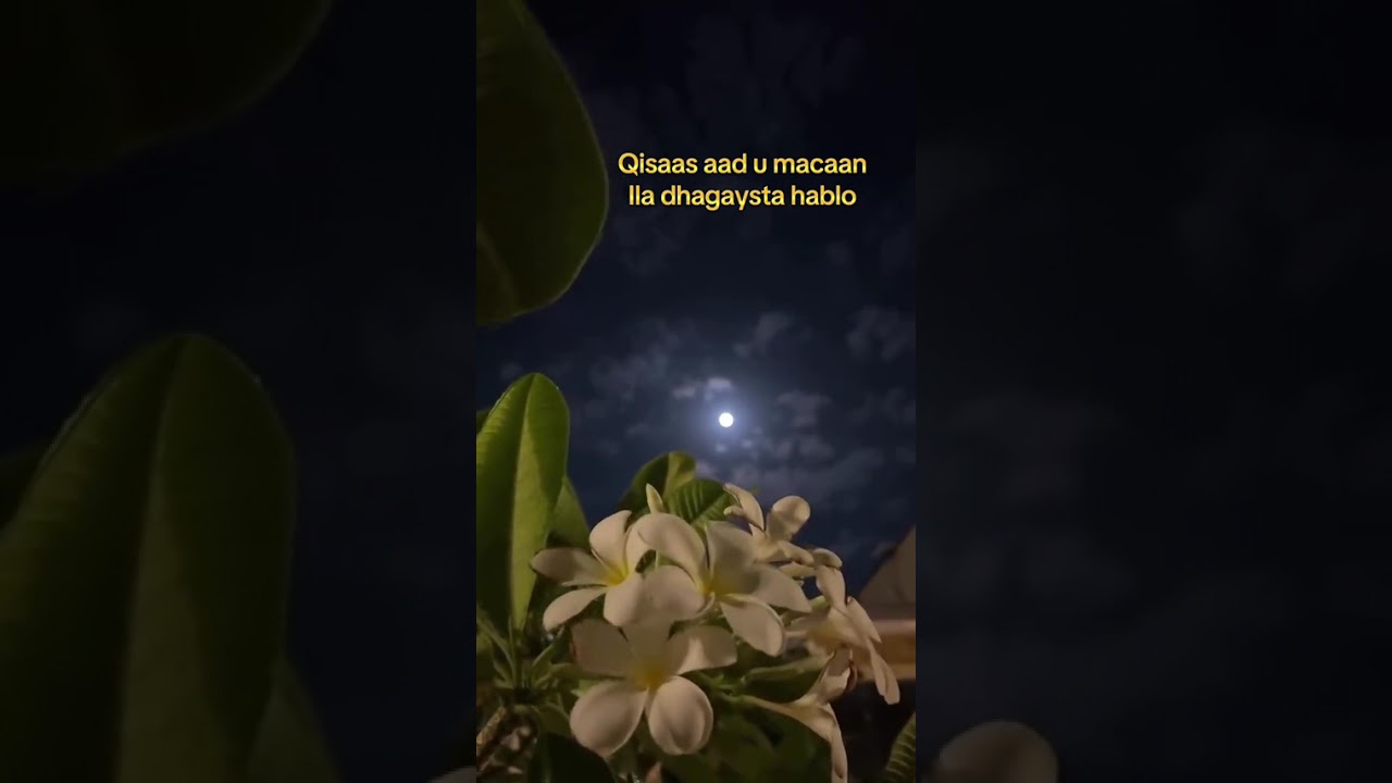 Qisada aadka u macan duco sida wax u badasho