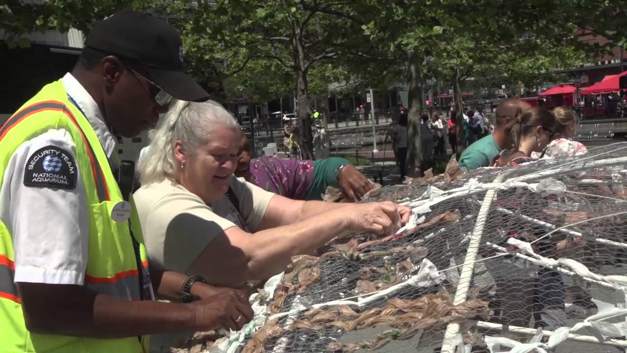 Community Art Project: Calypso Sculpture