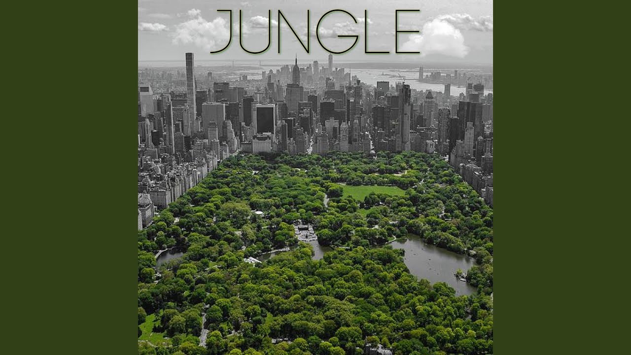 Jungle