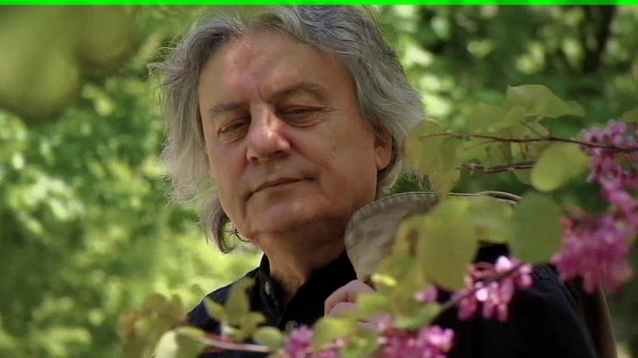 Ljupco Trajkovski Fis ~ PESNO MOJA MOJA SVETLINO 2024