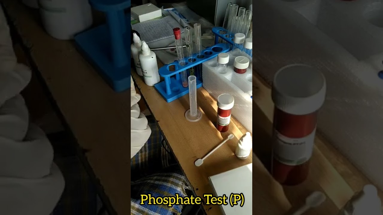 Plant Tissue Test for Leaf N, P & K