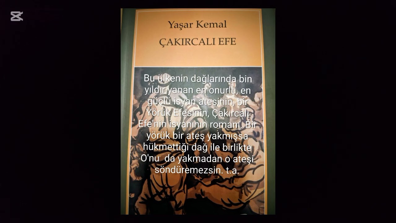 YAŞAR KEMAL- ÇAKIRCALI EFE- 8. BÖLÜM- TURGAY AKPINAR'IN SESİNDEN 