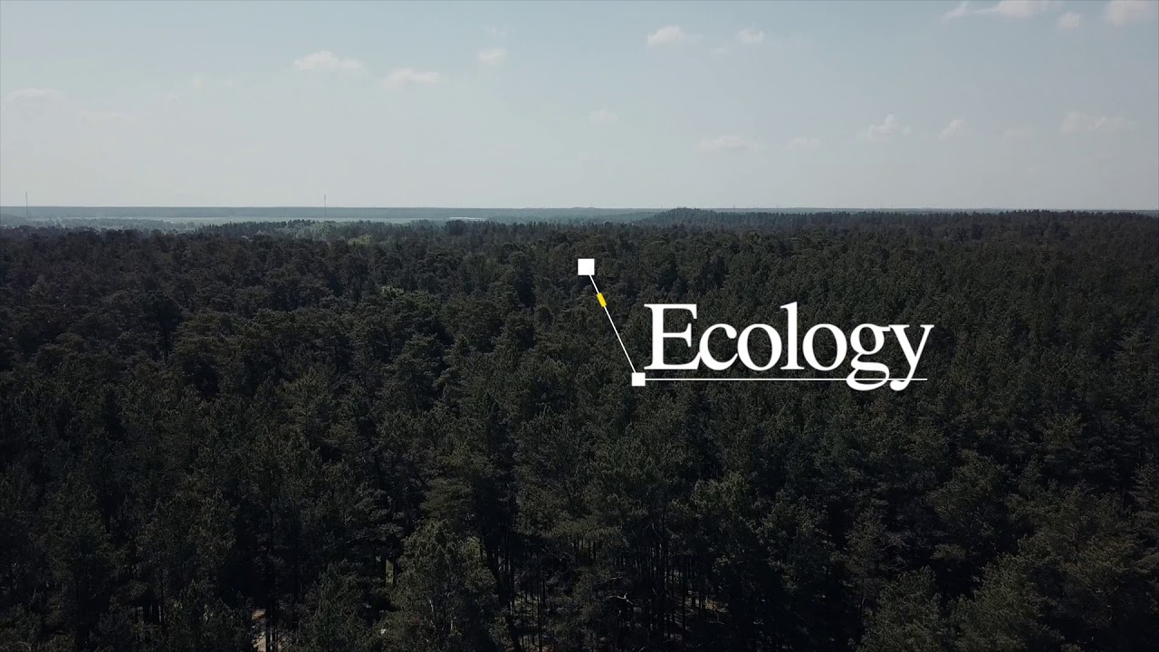 E-Village Europe