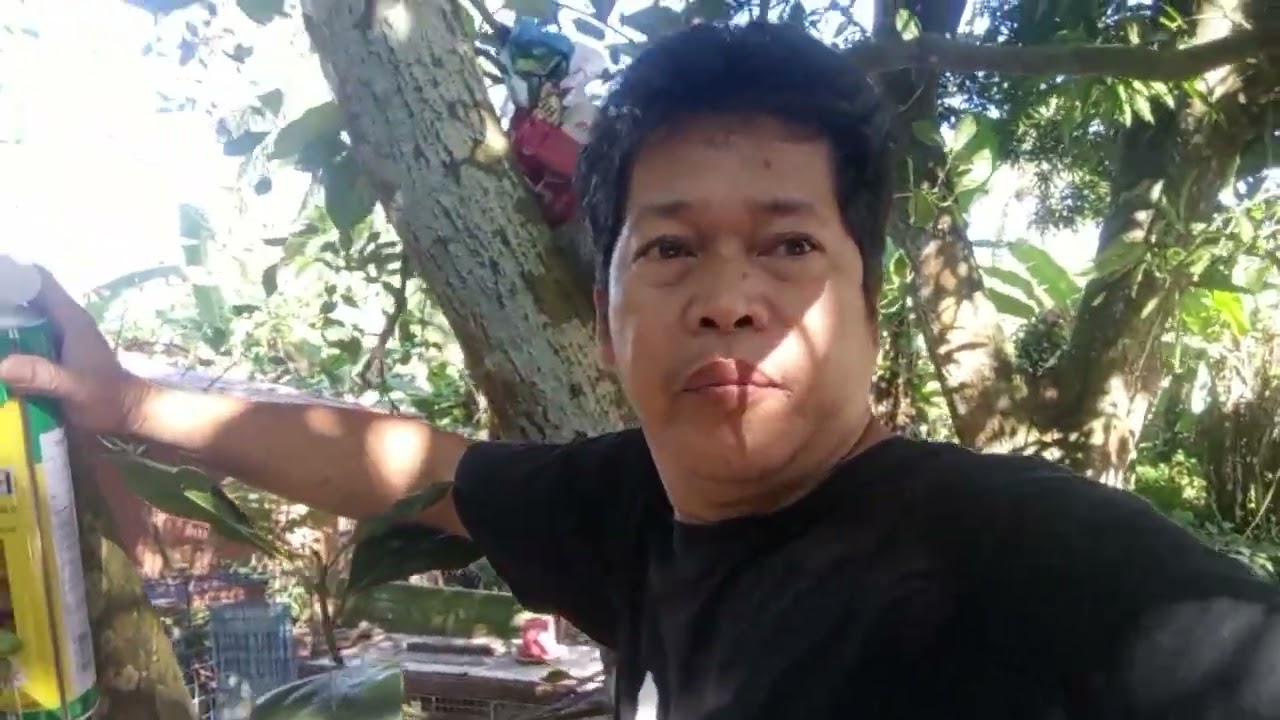 PANGALAWANG AKYAT SA PUNO NG LANGKA💪💪💪💪💪