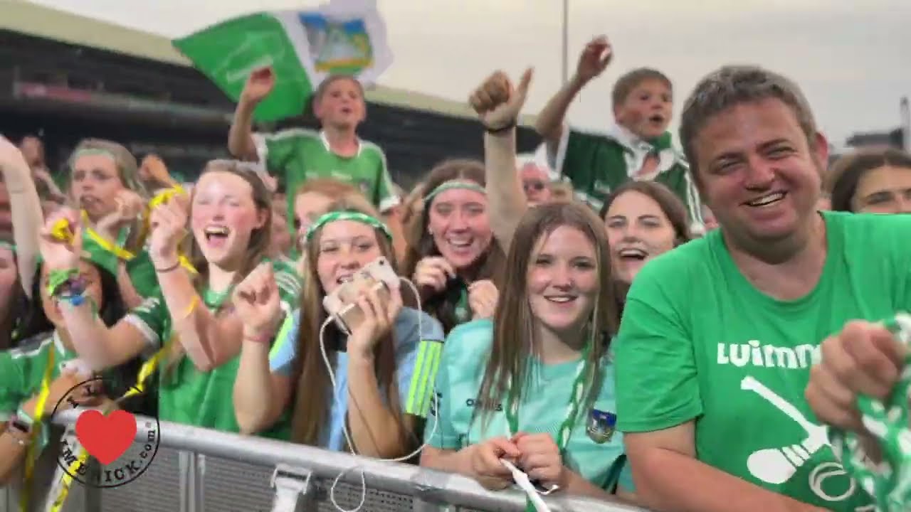 Limerick hurlers homecoming 2022