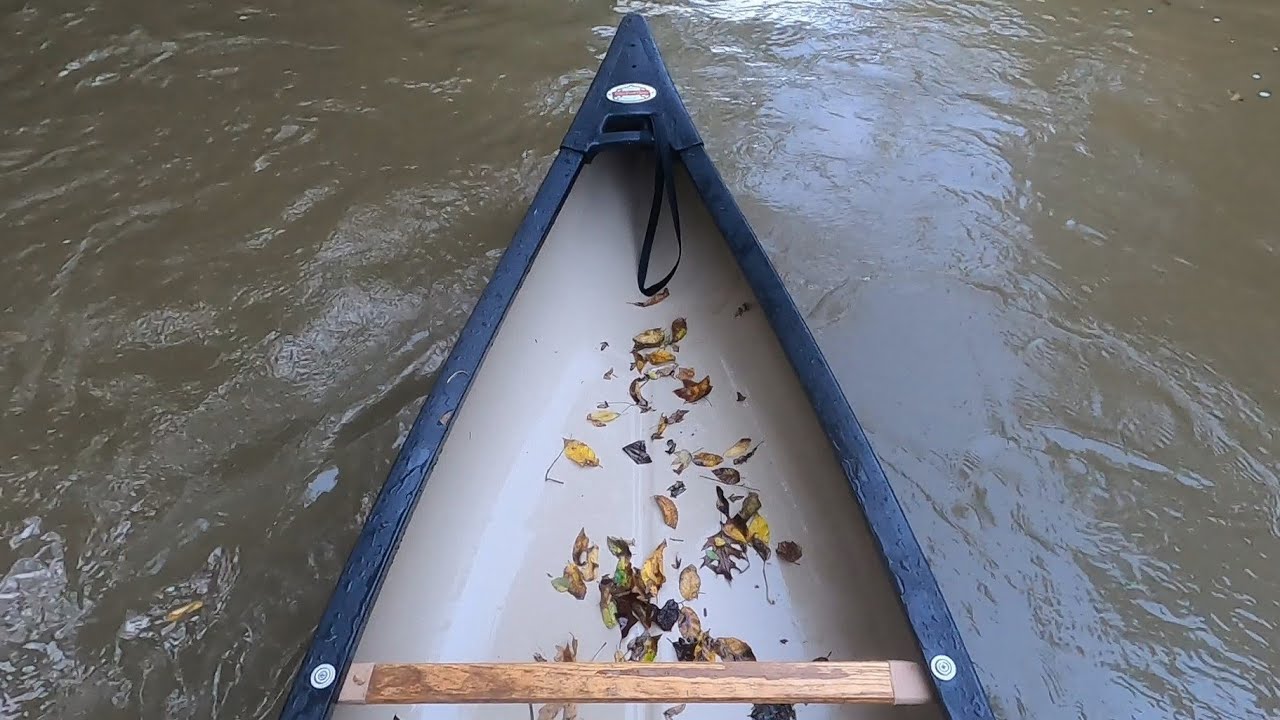 Old Town Pack Canoe - Two Year Review And Rambling - Bonus Bald Eagle