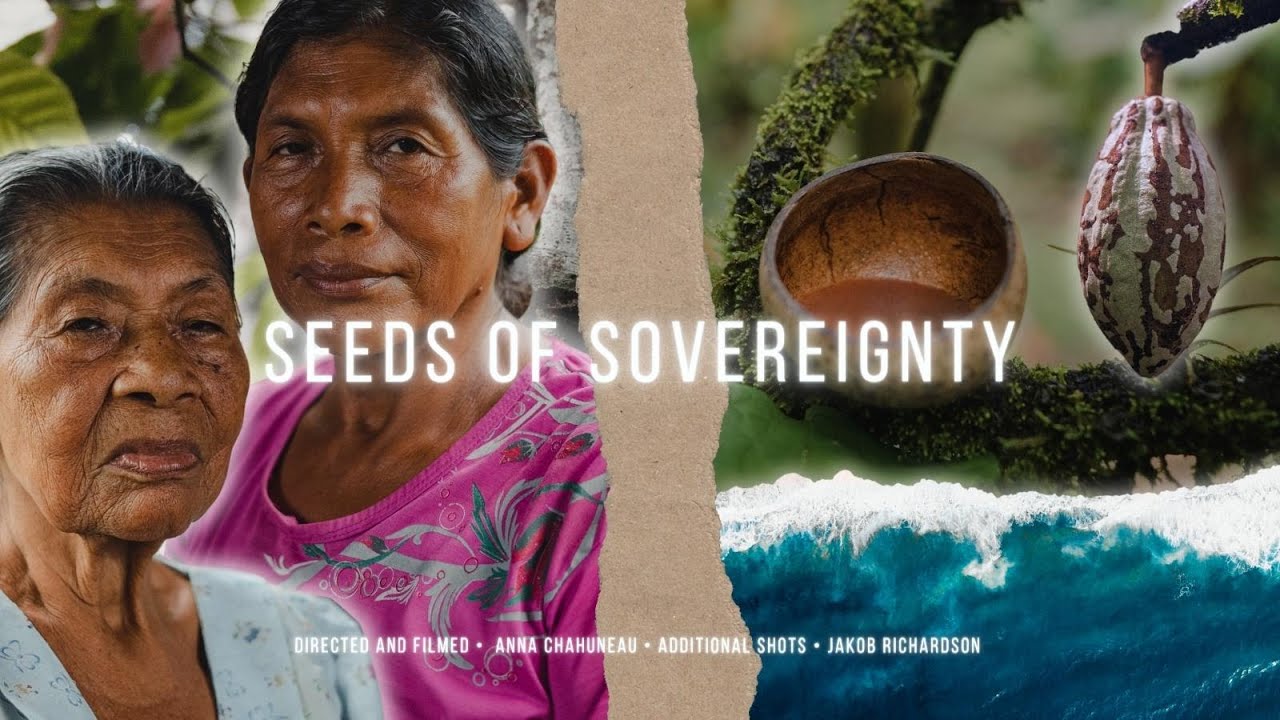 Seeds of Sovereignty &bull; Cacao and Indigenous Food Sovereignty | Full Documentary