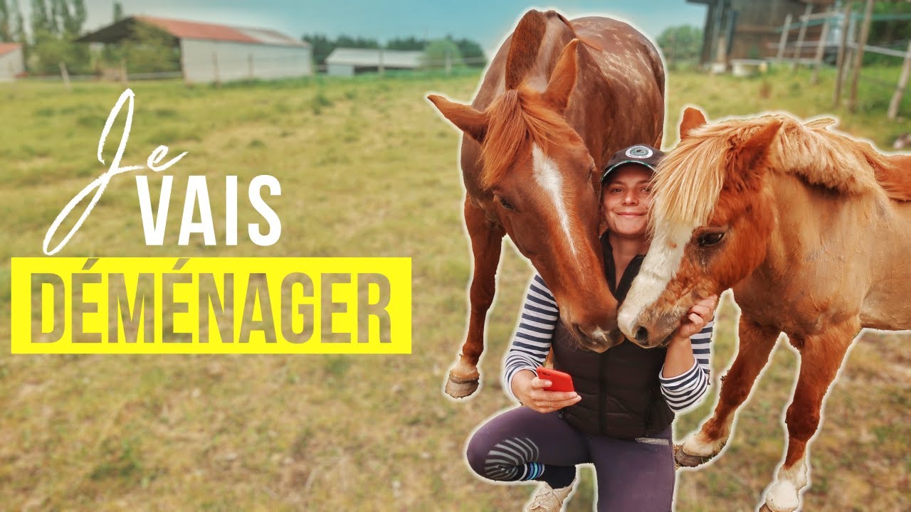 JE NE VAIS PLUS VIVRE AVEC LES PONEYS.. | VLOG