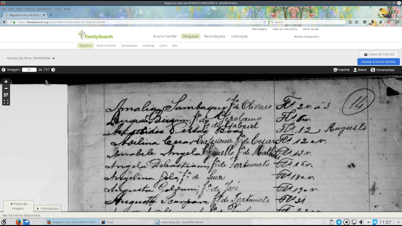 Como Consultar Índices no Family Search