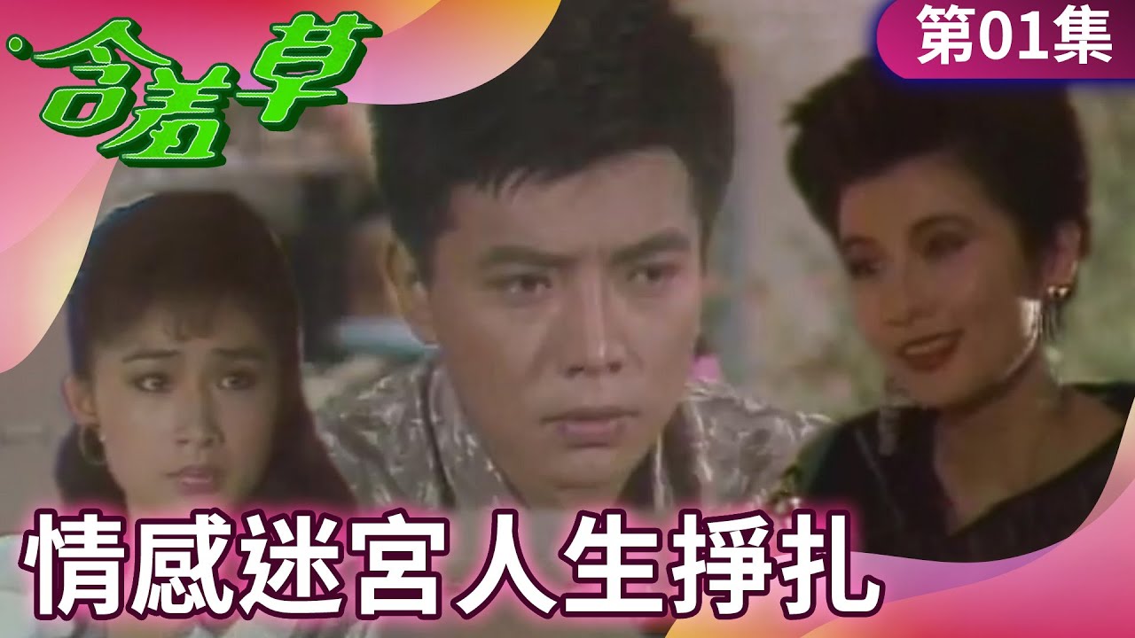 溫爾剛與纪璇的「人生困境」　范家慧在酒吧盯上爾剛！【含羞草 完整版】EP01 劉瑞琪 張佩華 周紹棟 李烈 @中視經典戲劇