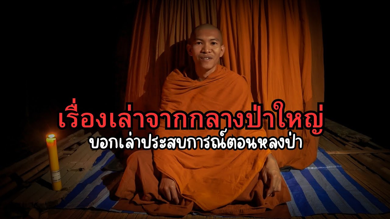 เรื่องเล่าจากกลางป่า ตอนหลงป่าอยู่ทองผาภูมิได้ยินเสียงเคาะไม้นึกว่าเสียงคน เสียงป่าสะอื้น