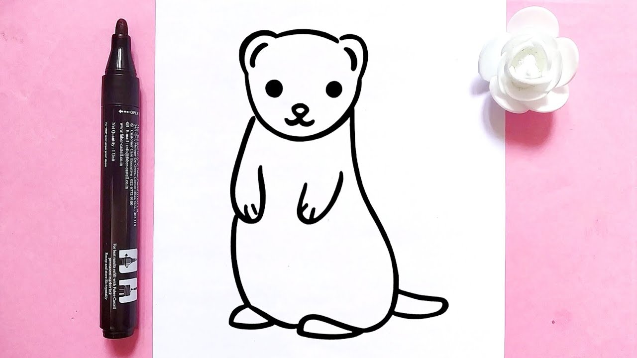 How to draw a Cute Ferret easily / step by step lesson
