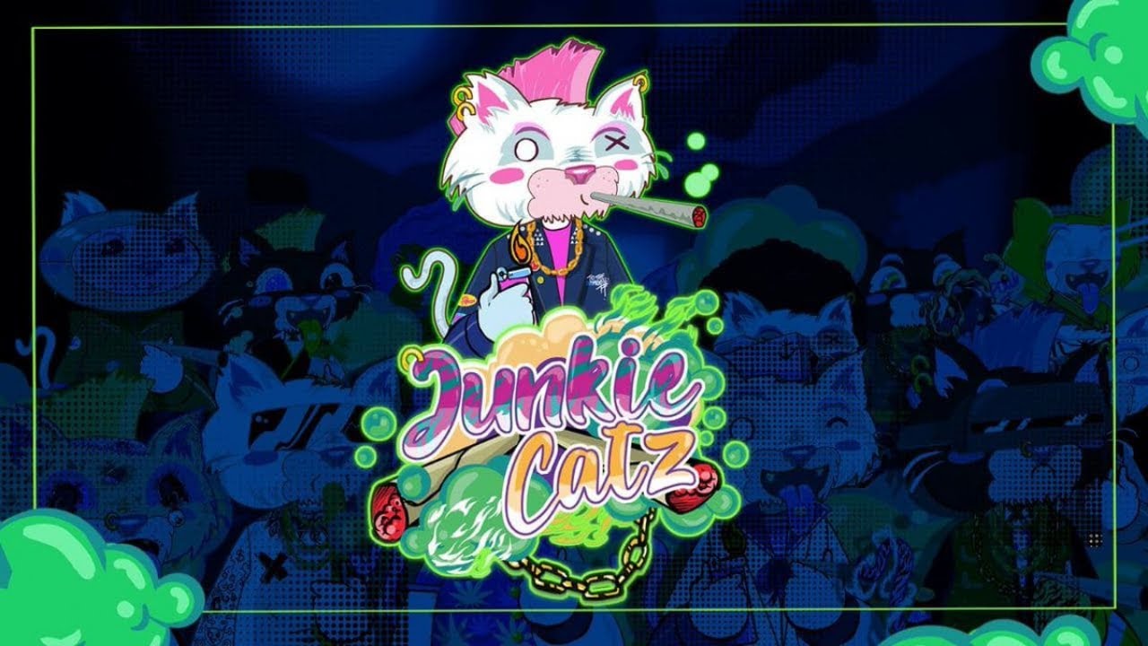 JUNKIE CATZ Project Review || The Hottest NFTs On Polygon