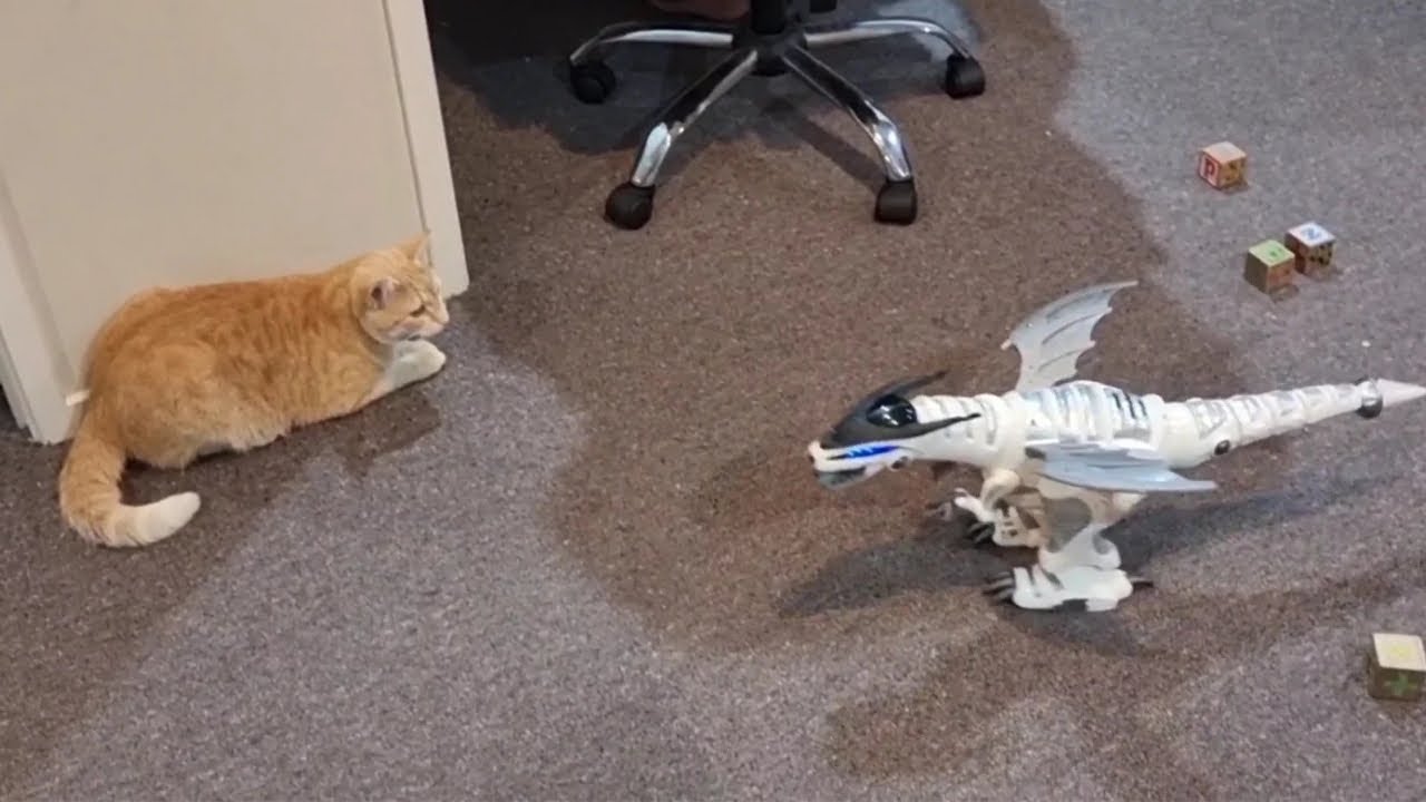 REMOTE CONTROL MEGA REX...UNBOXING
