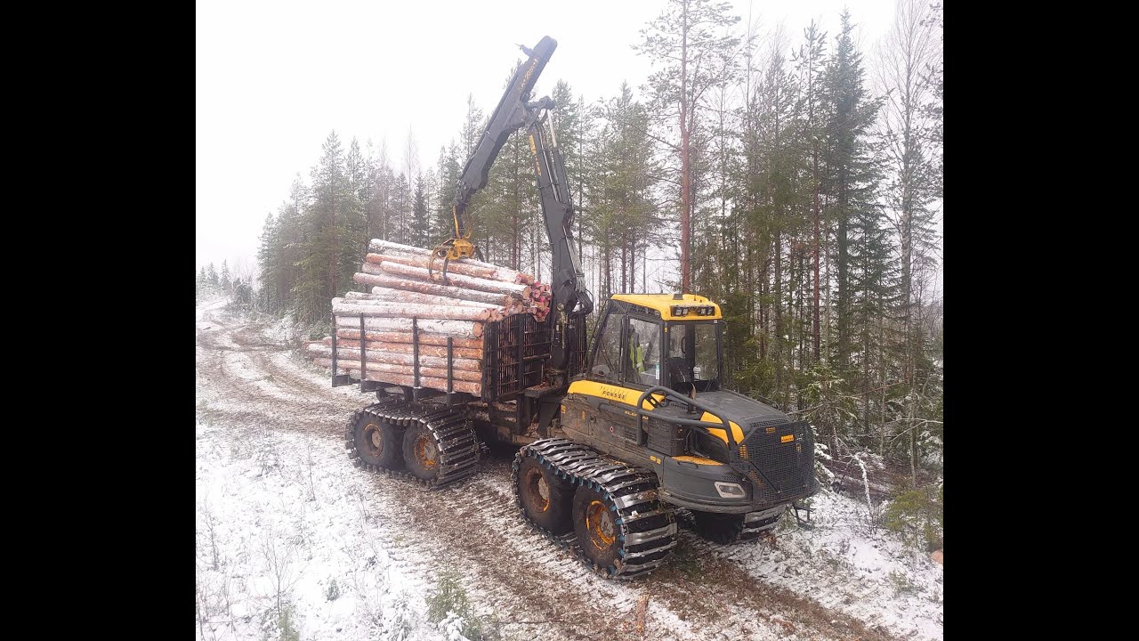 Mäntytukkien keräilyä | Ponsse Elephant K100 Active Frame