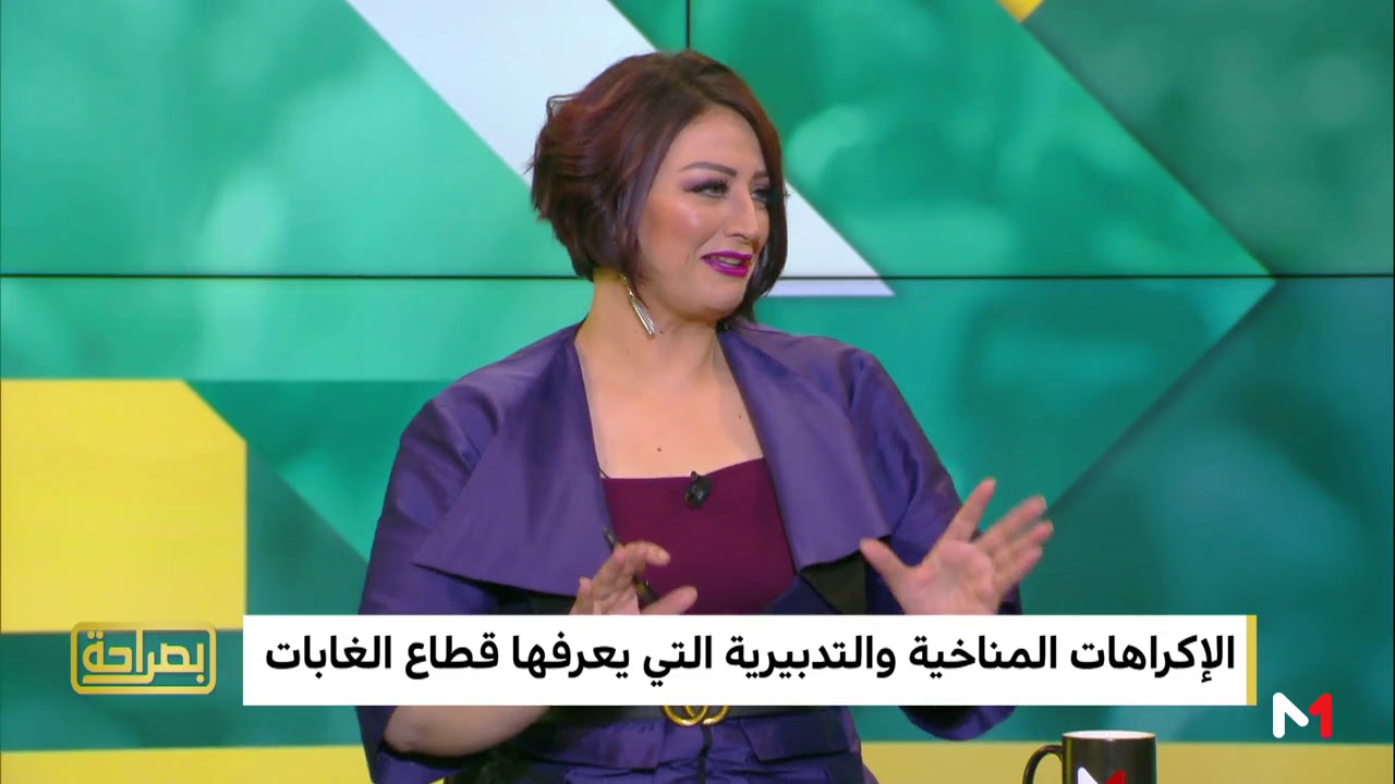 محمد أنضيشي من المندوبية السامية للمياه والغابات: قطاع الغابات يعرف إكراهات تدبيرية