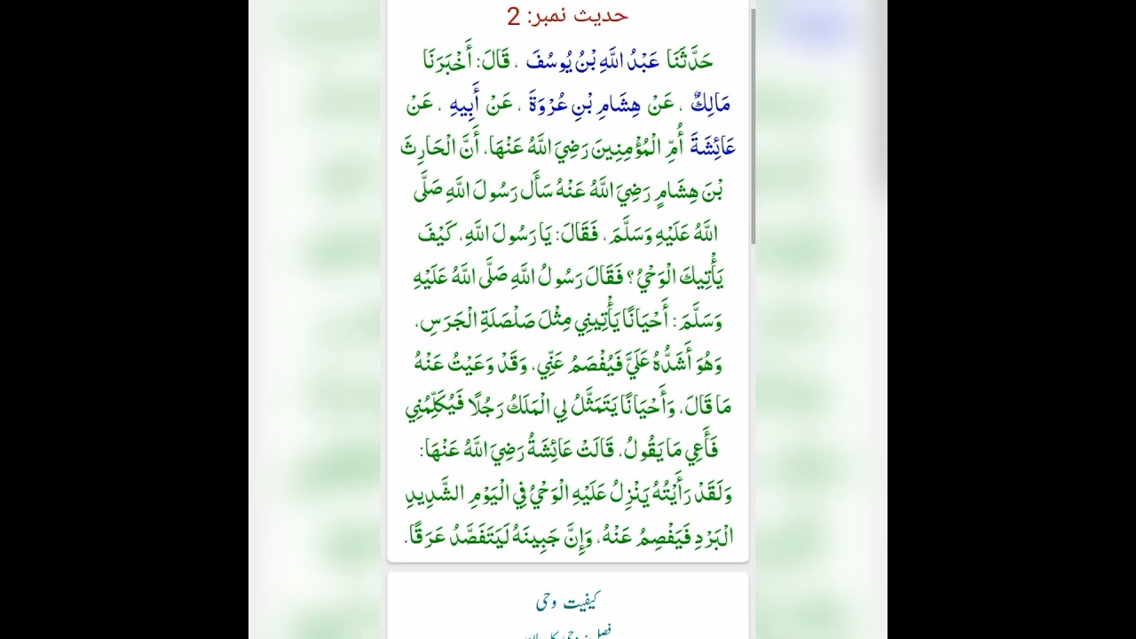 Sahih Bukhari Hadees #02