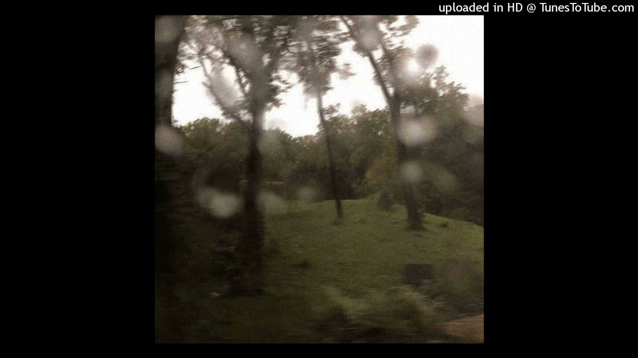 prettifun x misogi x ginseng type beat - company