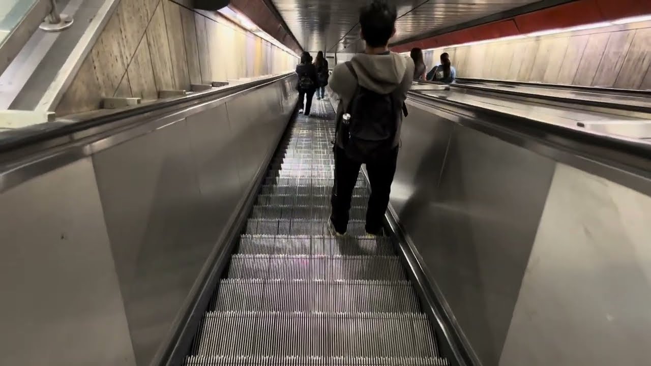 Rome - Furio Camilo. 4X Kone Escalators in Metro Station. (E3M)