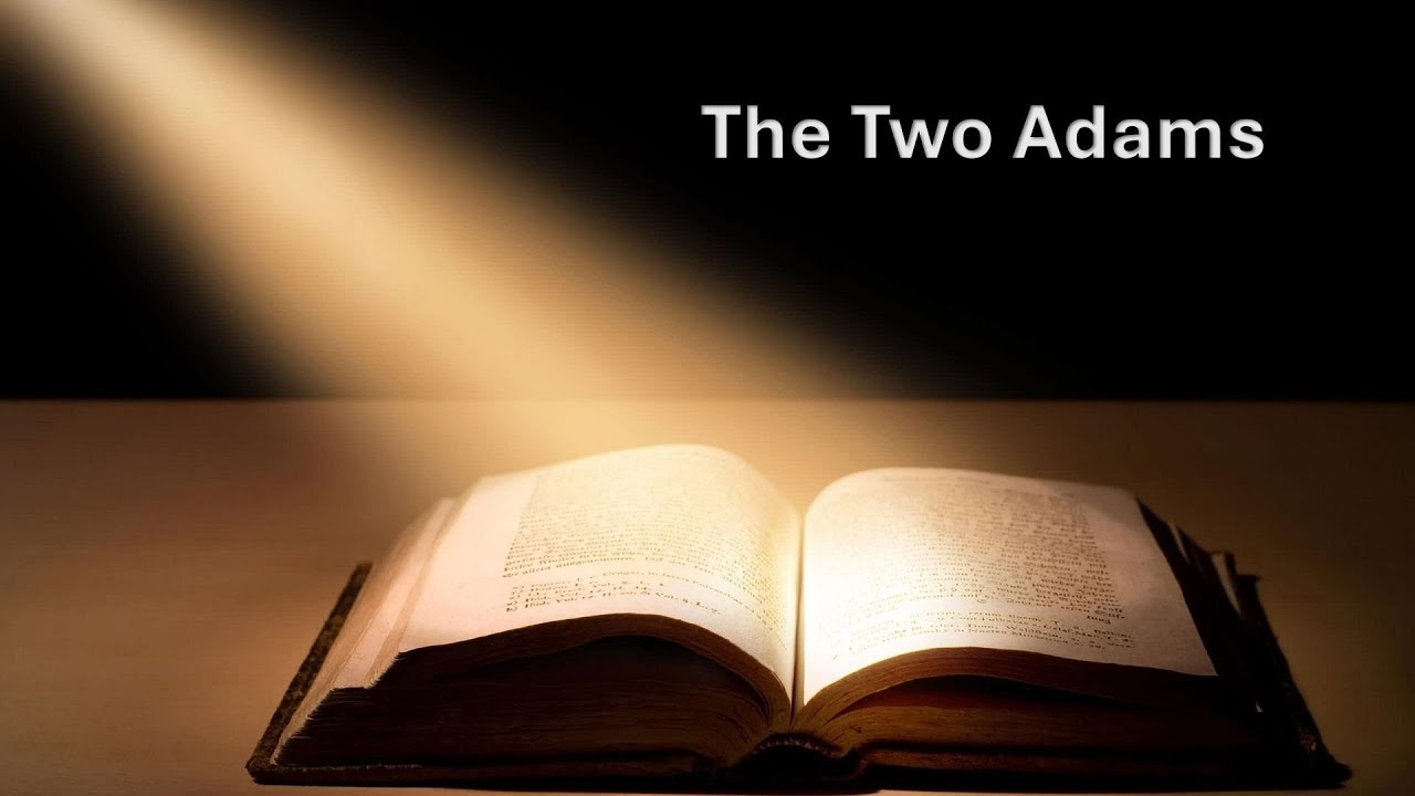 The Two Adams by Pr. Greg Timmins