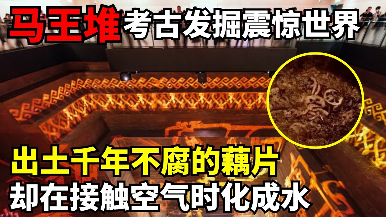 马王堆考古发掘震惊世界! 出土黑科技保存千年不腐的藕片, 却在接触空气时化成水｜马王堆考古