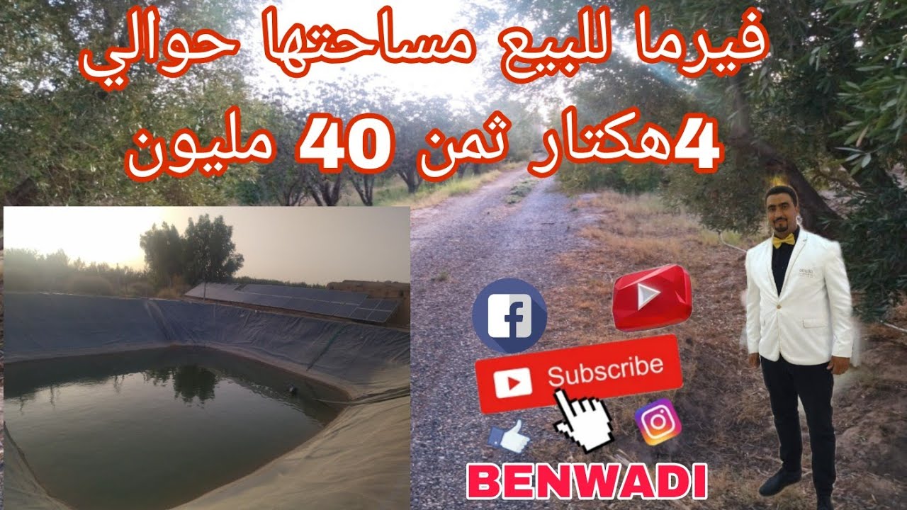 فيرما للبيع مساحتها حوالي 4هكتار فيها لبير اوساريج مغروس فها 2500شجرة زيتون ثمن الي الفيديو غلط