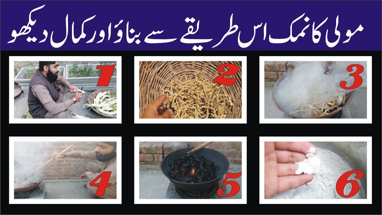 Moli ka namak bnane ka trika | moli ke fayde | bad hazmi ka ilaj | gurde masane ki pathri ka ilaj |