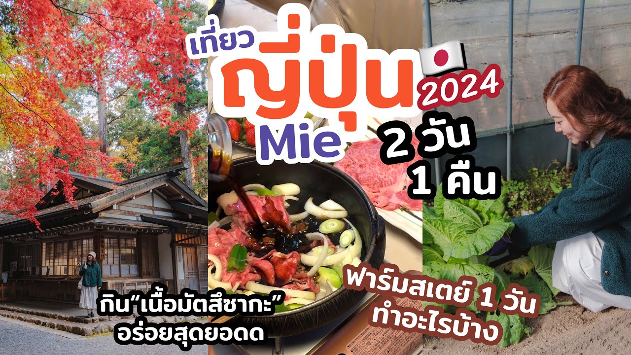 เที่ยวญี่ปุ่น จังหวัด Mie 2วัน 1คืน เที่ยวฟาร์มสเตย์ กินเนื้อมัตสึซากะ แนะนำที่เที่ยวอันซีนสวยๆ