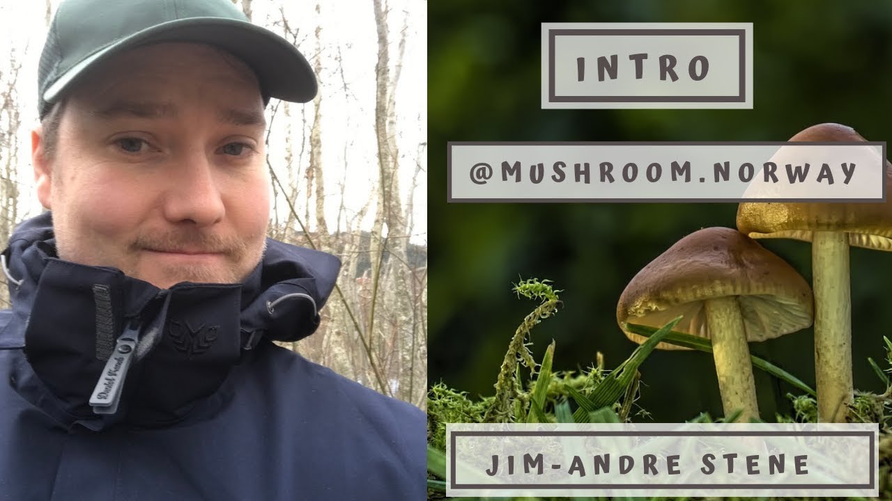 Introduksjonfilm @mushroom.norway