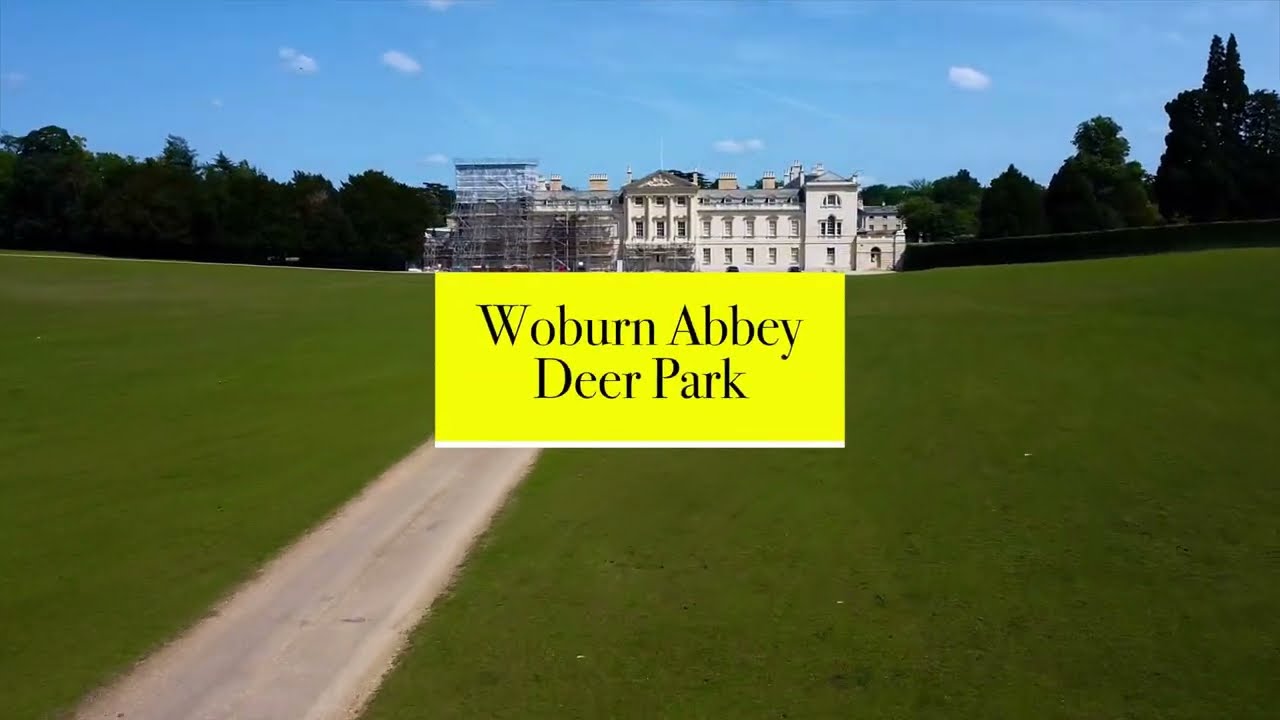 Woburn Abbey Deer Park
