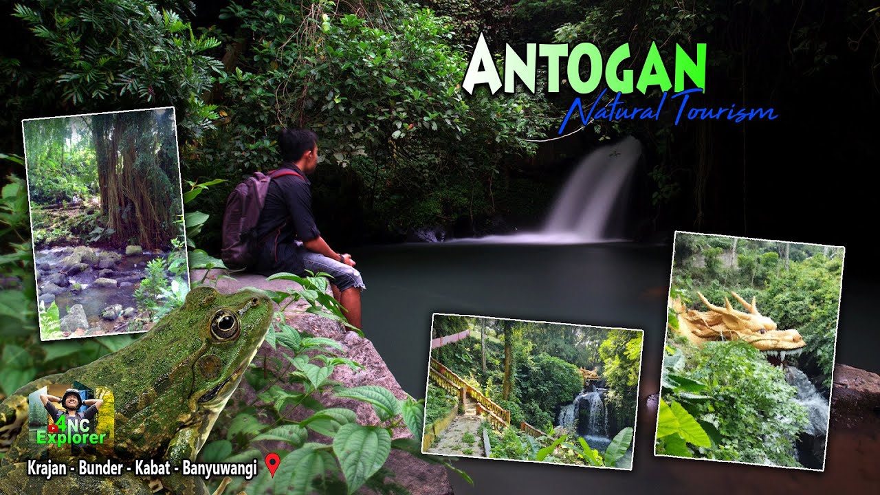 Wisata Air Terjun ANTOGAN Banyuwangi || Pemandian Alami Populer di Banyuwangi