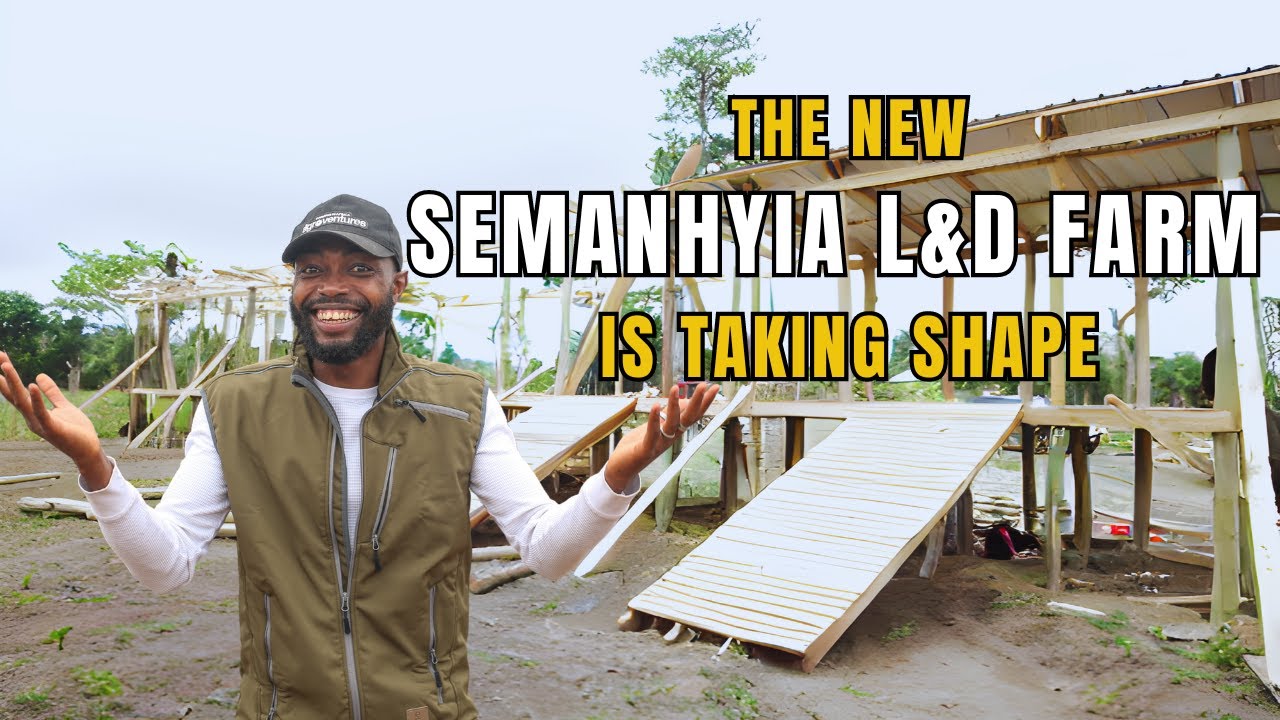 SEMANHYIA FARMS UPDATE: Building The First Livestock L&D Farm In Ghana