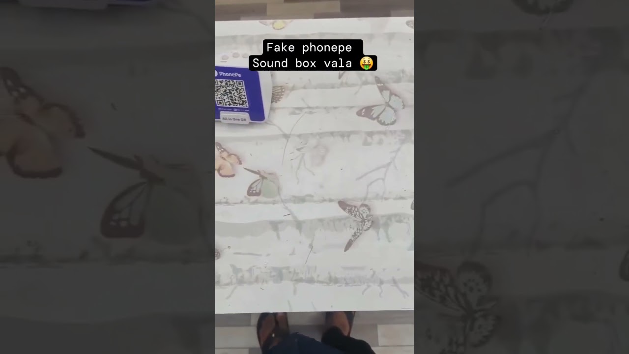 Fake Phonepe With Sound Box