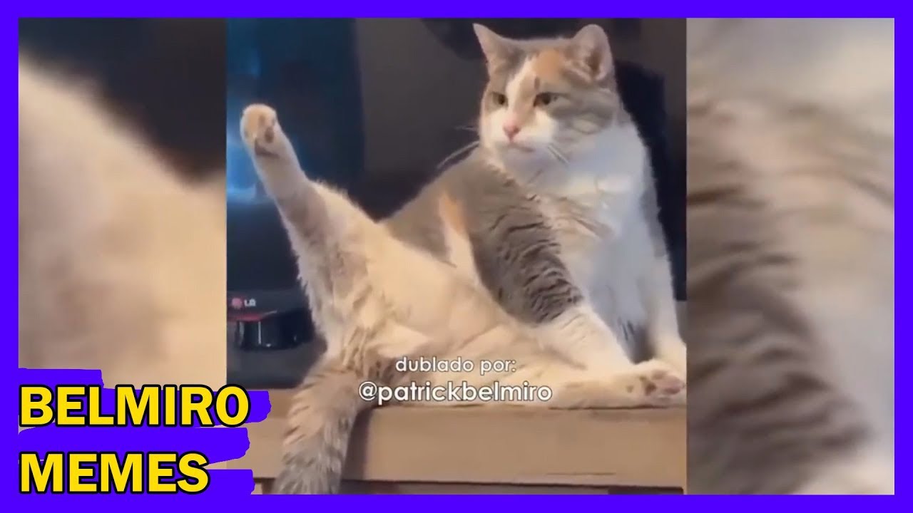 Belmiro Memes: Melhores dublagens engraçadas da semana 60