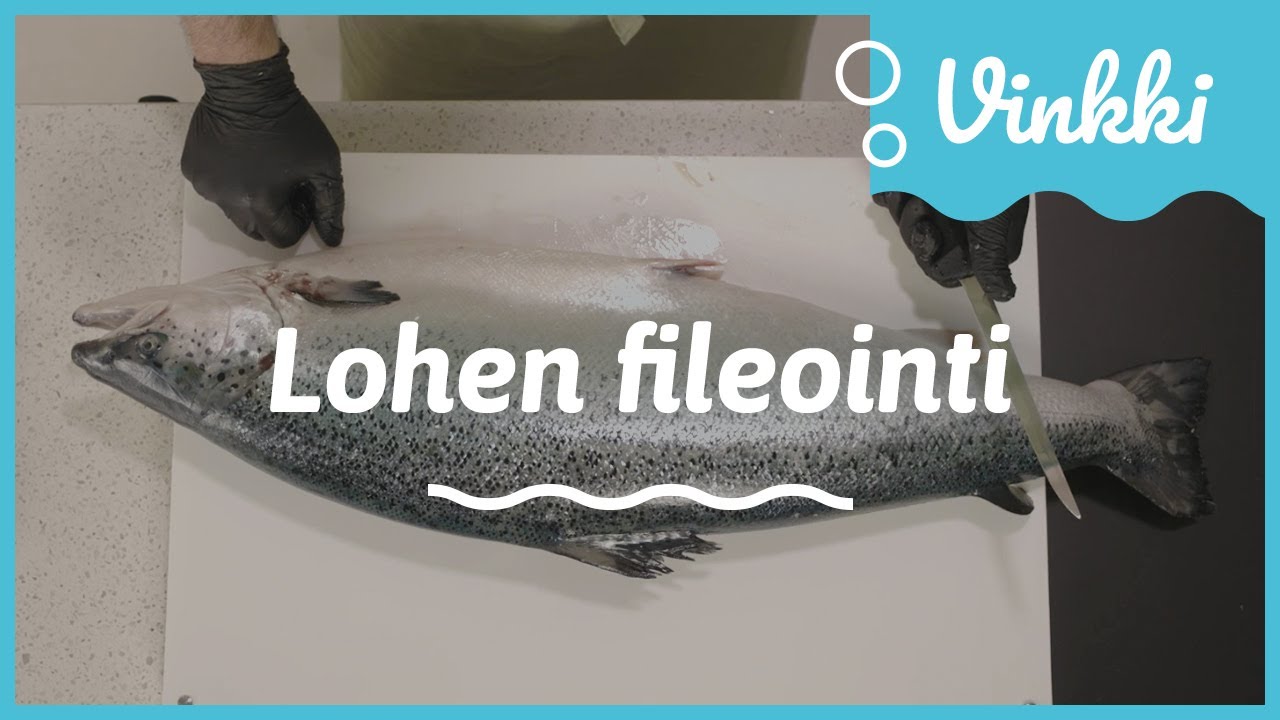 Lohen fileointi | Kalan käsittely