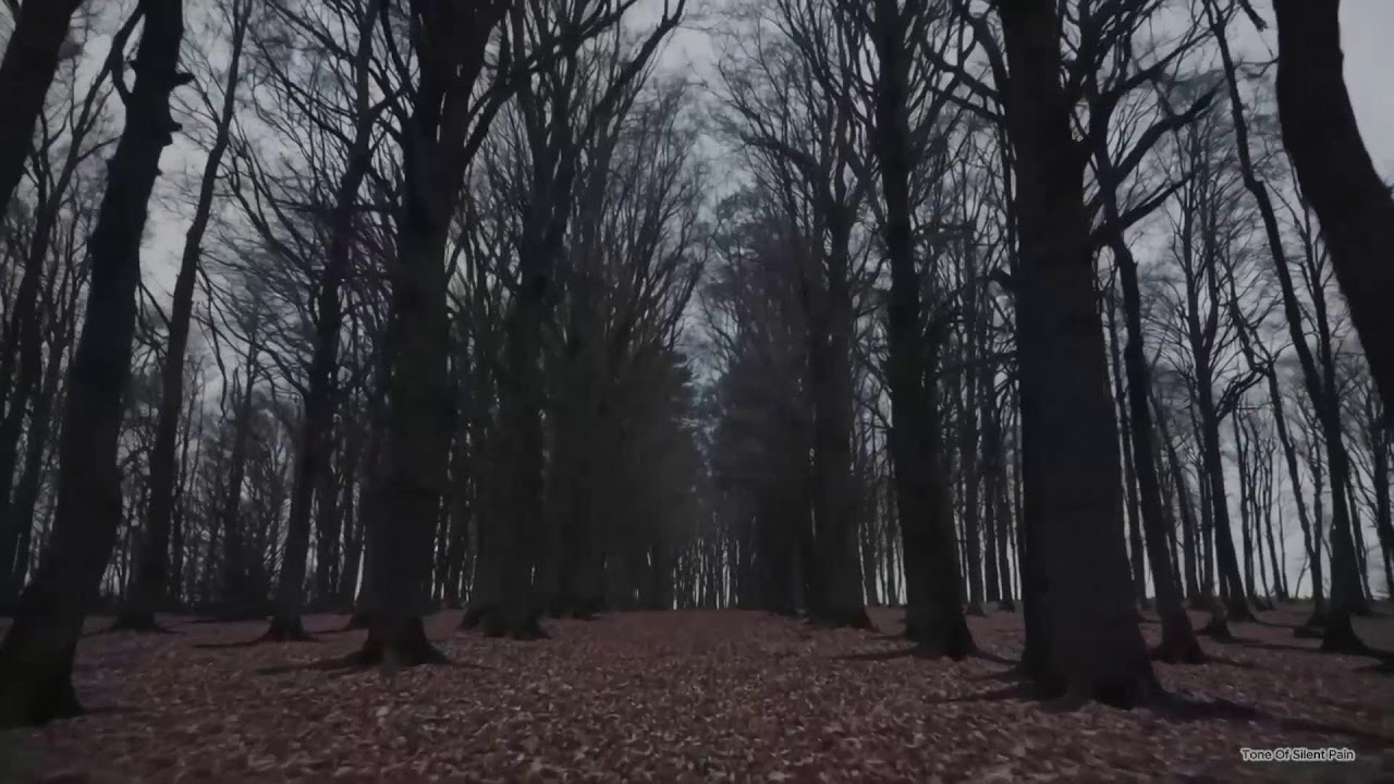 Piano Instrumental , calm, melancholic sleep ASMR music - Relax / Sad / #classicalmusic
