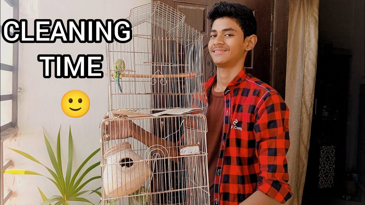Aj budgies k cage ko clean kar dia 🙂