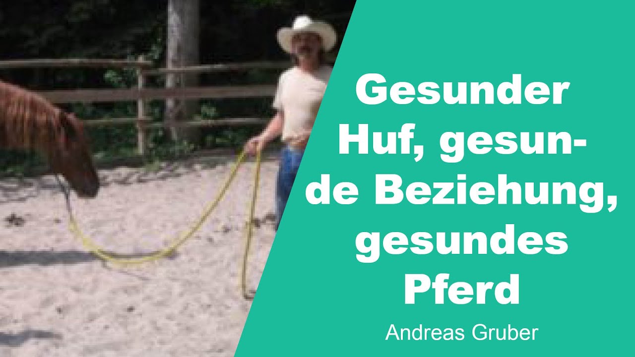 Gesunder Huf, gesunde Beziehung, gesundes Pferd - Andreas Gruber - 1