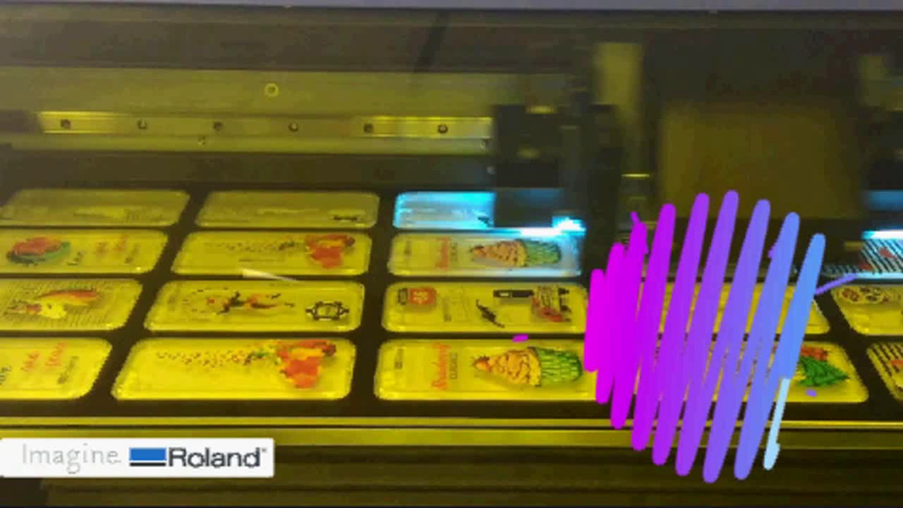 Roland VersaUV LEF-300
